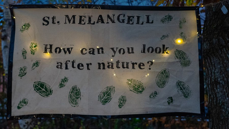 poster with how can you look after nature o it